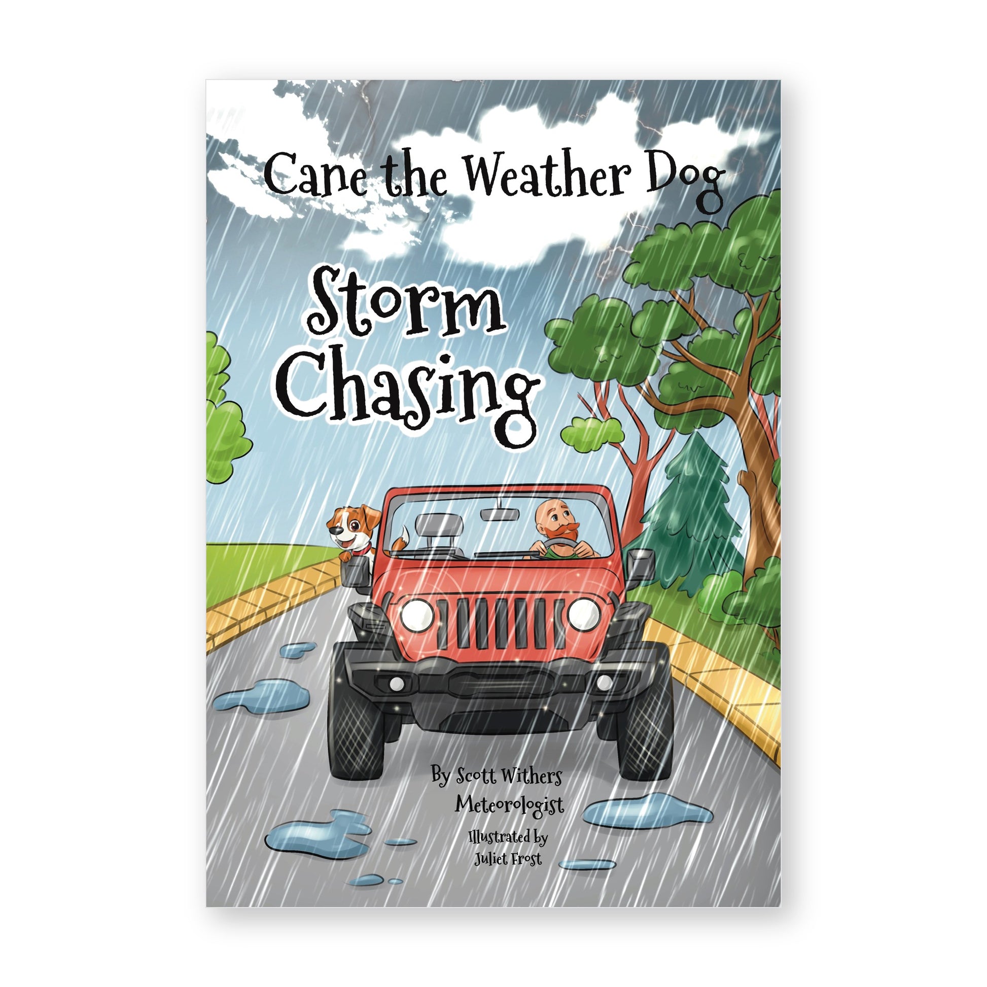 Storm Chasing cover